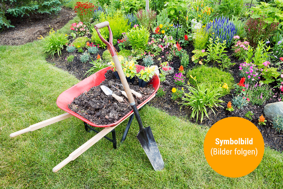 Symbolbild - Bilder folgen